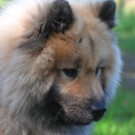 Программы лояльности в онлайн казино для новичков