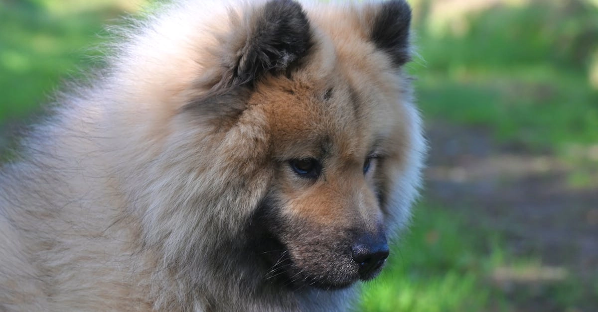 Программы лояльности в онлайн казино для новичков